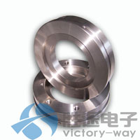 滑環(huán)殼體